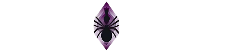 Logo do Website Dona Aranha